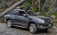 15-Raj negotiates a fallen tree on White Star Track 